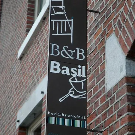 Basil
